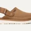 Goldenstar Clog